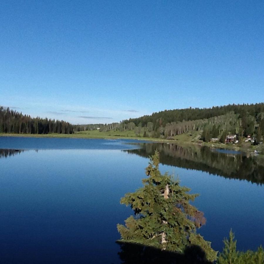 Lac Le Jeune Nature Resort Logan Lake ภายนอก รูปภาพ