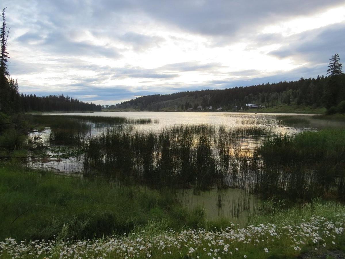 Lac Le Jeune Nature Resort Logan Lake ภายนอก รูปภาพ