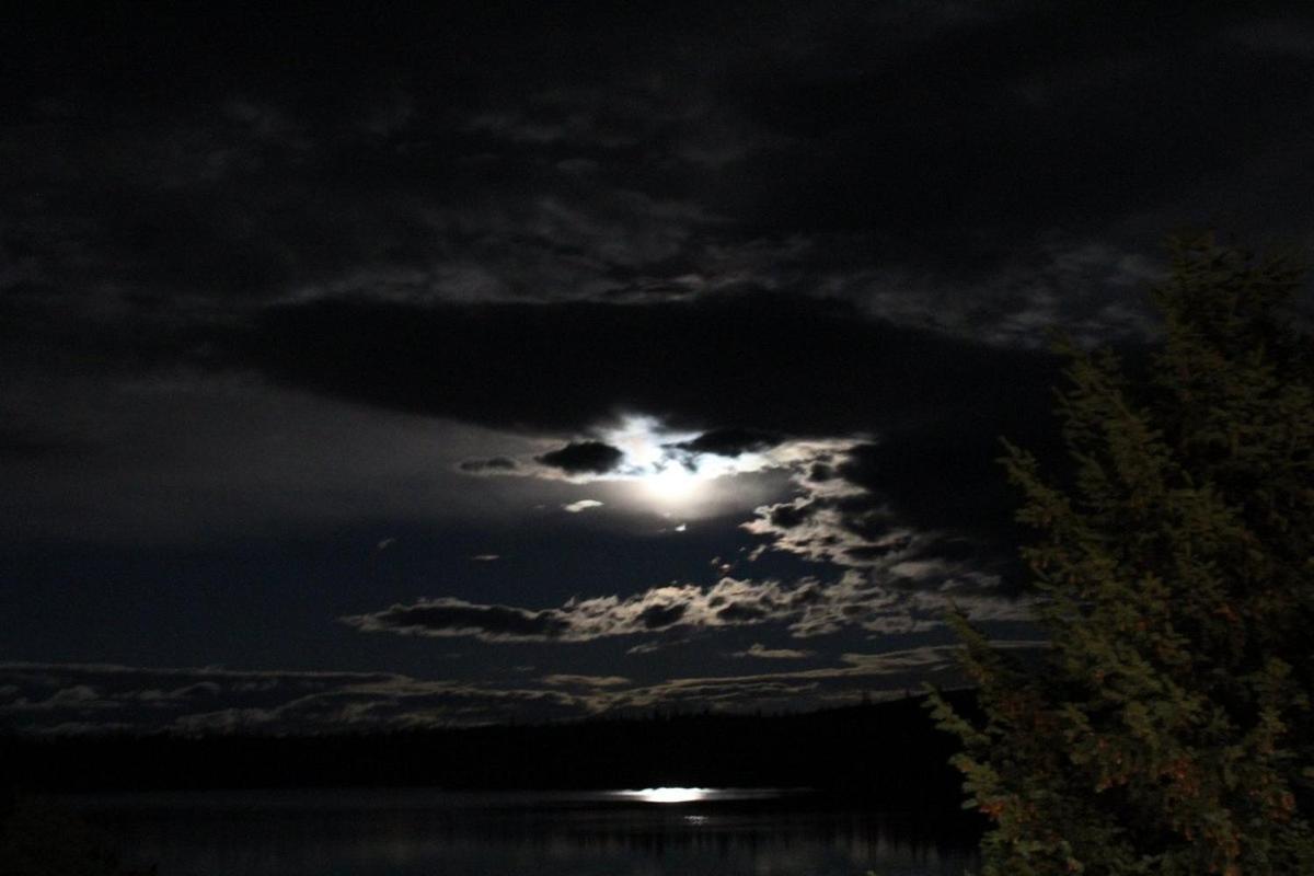 Lac Le Jeune Nature Resort Logan Lake ภายนอก รูปภาพ