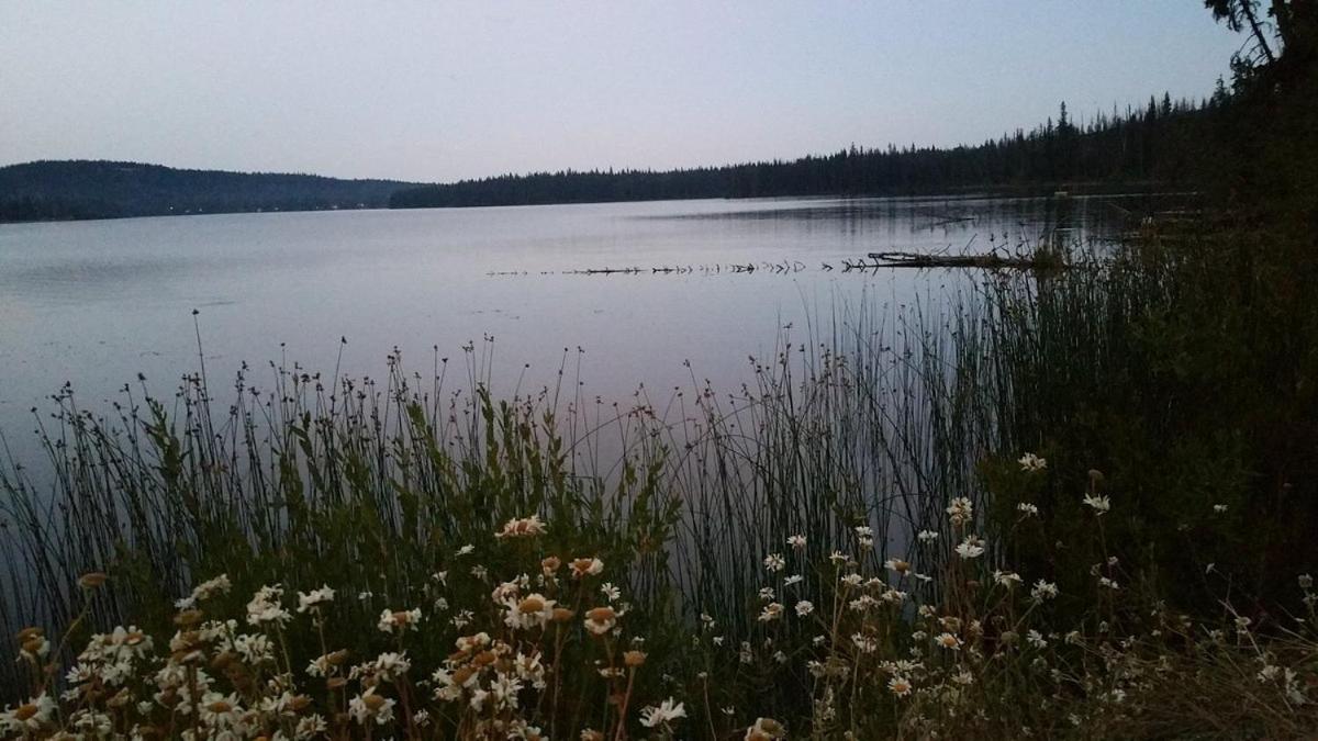 Lac Le Jeune Nature Resort Logan Lake ภายนอก รูปภาพ